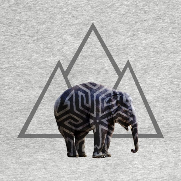 Elephant Tribe Mountain by i2studio